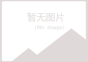 揭阳夏岚咨询有限公司